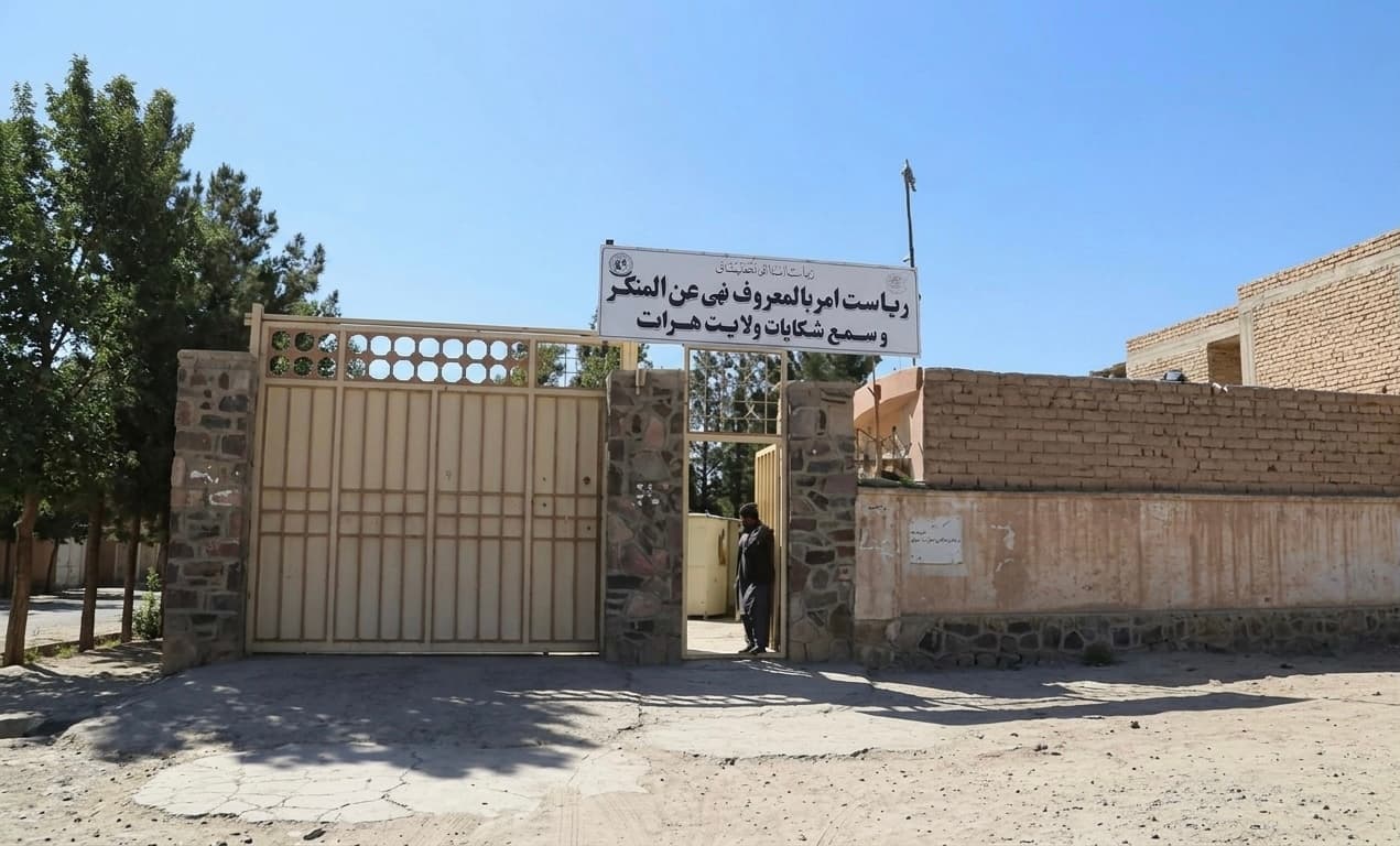 Sources: Taliban detain several women in Herat’s old city Saturday .