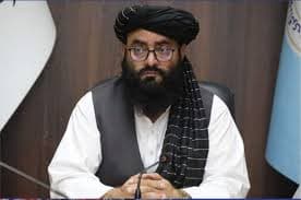 72 Booths Allocated to Afghanistan in the 10th China-South Asia Exhibition