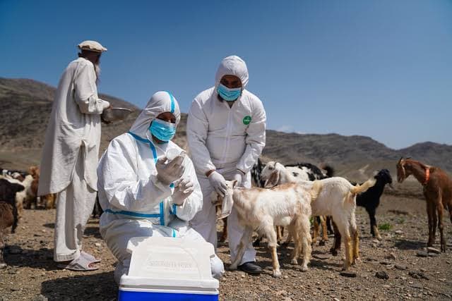 In the past two years, more than 9 million animals have been vaccinated in Afghanistan.