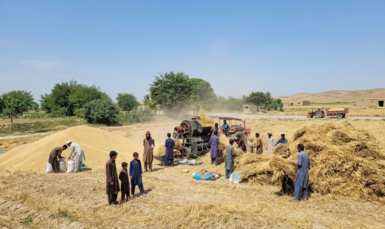 The Taliban have arrested six farmers in Laghman for refusing to pay “ushr.”