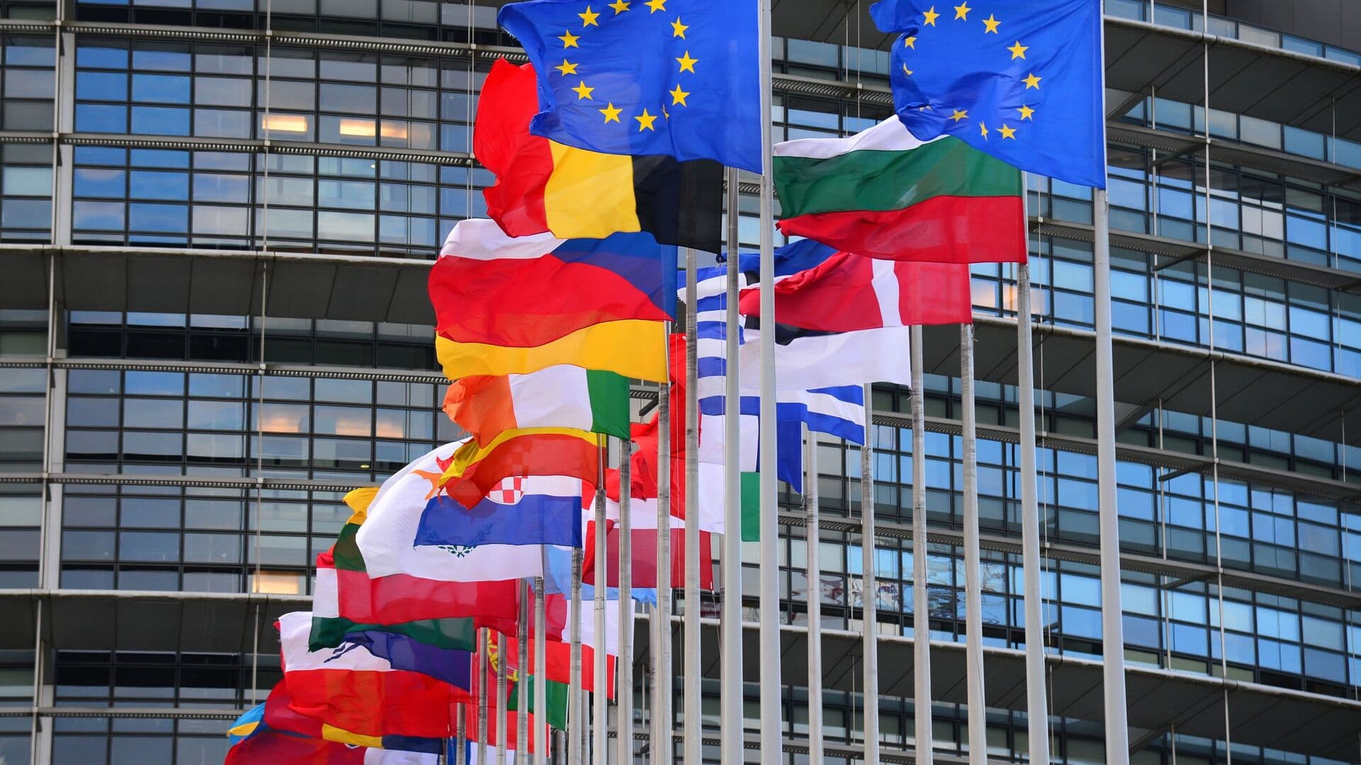 Civil society organizations: Europe should halt the process of returning migrants to Afghanistan.