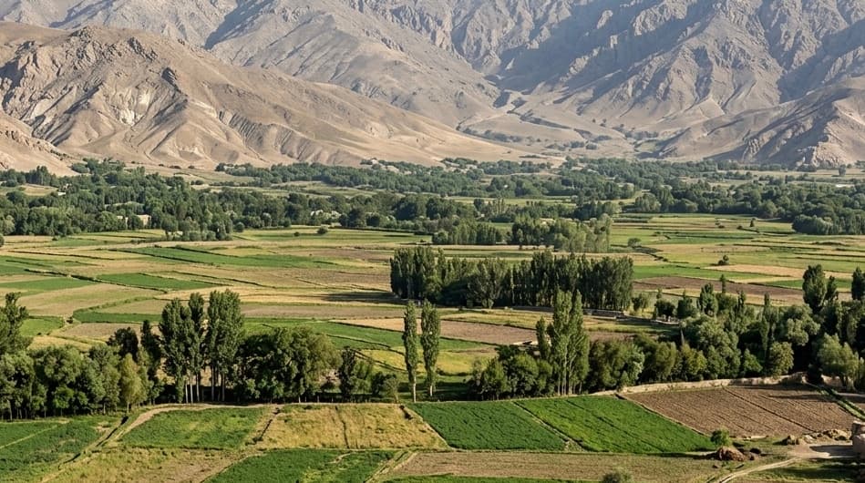 جبهه متحد: در فاریاب و بلخ چهار عضو طالبان را کشته ایم.