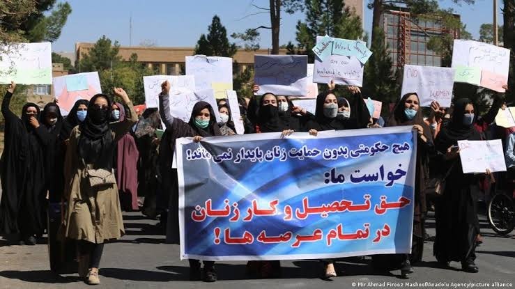 طالبانو په هرات كې لږ تر لږه ١٢ ښځې او یو نارينه نيولي.