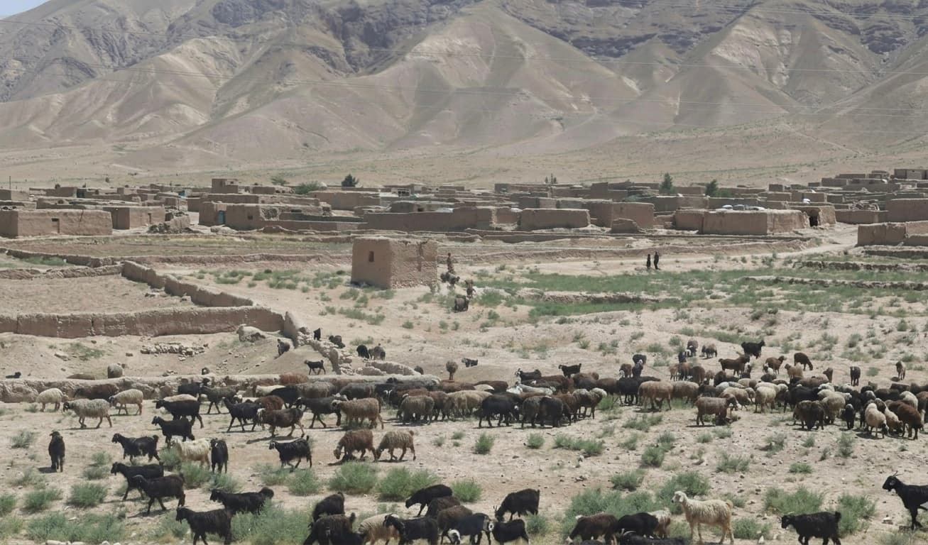 يوناما: وچکالي او د اوبو کمښت د افغانستان د خوړو خوندیتوب ګواښي.