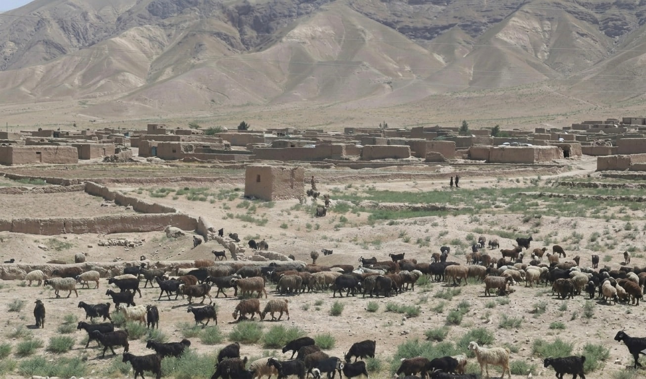 يوناما: وچکالي او د اوبو کمښت د افغانستان د خوړو خوندیتوب ګواښي.