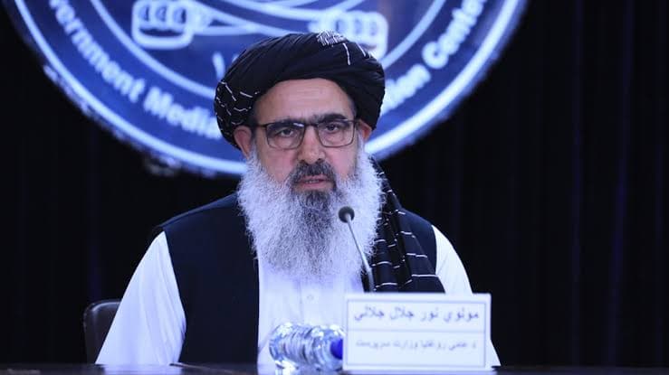 Noor Jalal Jalali: Joint efforts and collaboration are essential for the standardization of traditional medicine.