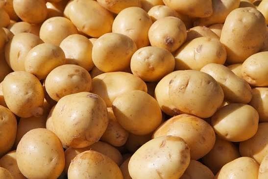 The lack of suitable markets and insufficient cold storage facilities have created significant challenges for potato farmers in Bamyan.